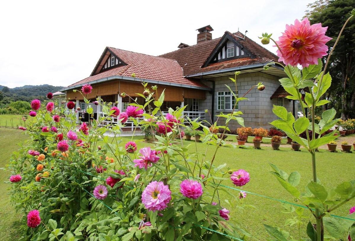 Bukit Lowick Bungalow Тана Рата Екстериор снимка